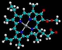chlorophyll_molecule